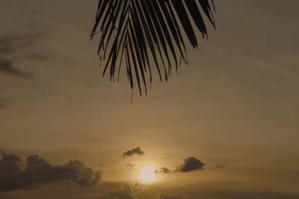 imgi_16_bg-video
